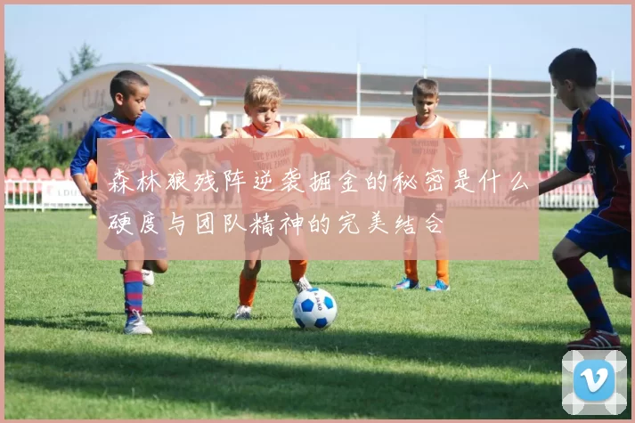 森林狼残阵逆袭掘金的秘密是什么硬度与团队精神的完美结合
